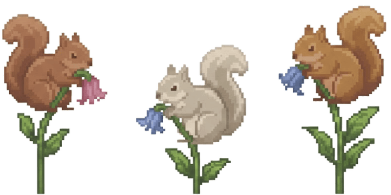 Squirrels on flowers